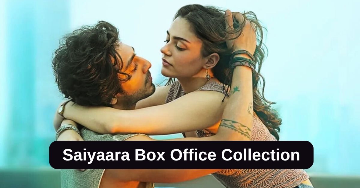 Saiyaara Box Office Collection: सैयारा मूवी का बॉक्स ऑफिस पर जलवा जारी, 17वें कमाए इतने करोड़