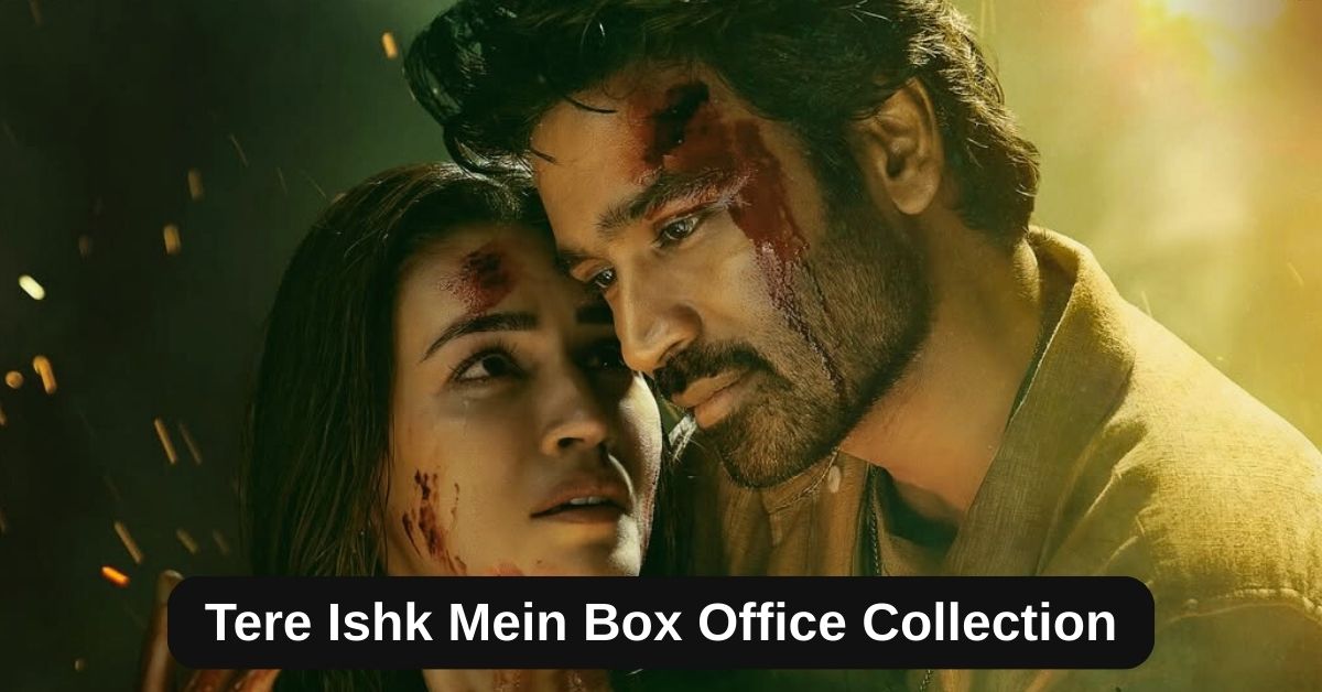 Tere Ishk Mein Box Office Collection: जानिए तेरे इश्क़ में मूवी का टोटल क्लेक्शन, बजट हिट या फ्लॉप