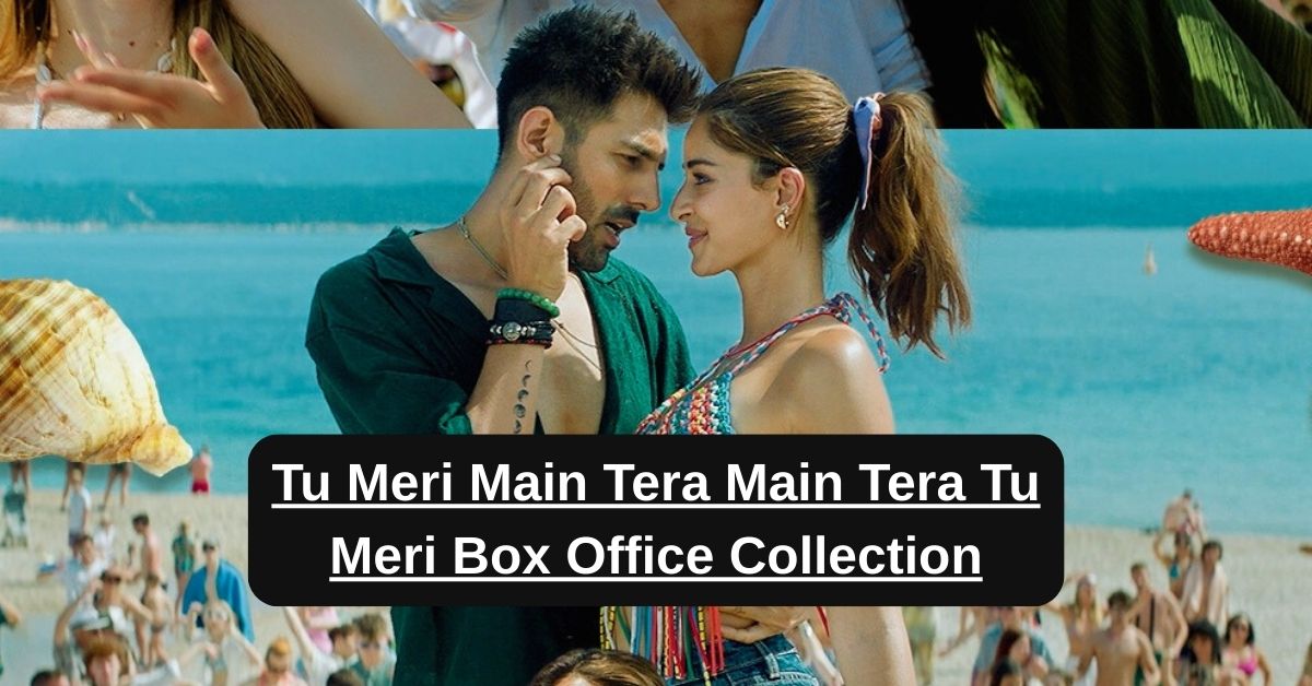 Tu Meri Main Tera Main Tera Tu Meri Box Office Collection: जानिए बॉलीवुड मूवी तू मेरी मैं तेरा मैं तेरा तू मेरी का टोटल क्लेक्शन, बजट, हिट या फ्लॉप