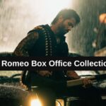 O Romeo Box Office Collection: जानिए बॉलीवुड मूवी ओ रोमियो का टोटल क्लेक्शन, बजट, हिट या फ्लॉप