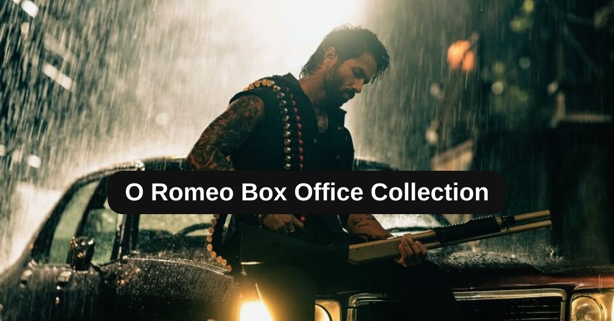O Romeo Box Office Collection: जानिए बॉलीवुड मूवी ओ रोमियो का टोटल क्लेक्शन, बजट, हिट या फ्लॉप
