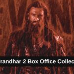 Dhurandhar 2 Box Office Collection: जानिए धुरंधर 2 का टोटल क्लेक्शन, बजट, हिट या फ्लॉप