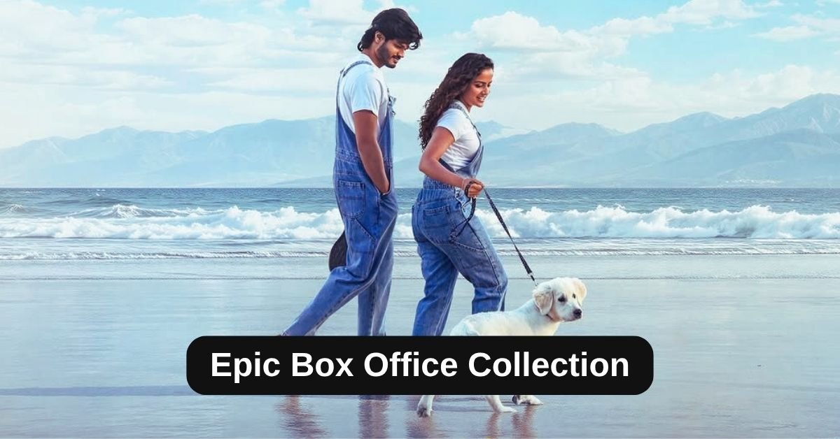 Epic Box Office Collection: जानिए एपिक मूवी का बॉक्स ऑफिस कलेक्शन, बजट, हिट या फ्लॉप Epic Box Office Collection: जानिए एपिक मूवी का बॉक्स ऑफिस कलेक्शन, बजट, हिट या फ्लॉप