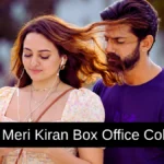 Tu Hai Meri Kiran Box Office Collection: जानिए बॉलीवुड मूवी तू है मेरी किरण का बॉक्स ऑफिस पर कैसा रहा हाल, हिट या फ्लॉप