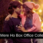 Tum Mere Ho Box Office Collection: जानिए बॉलीवुड मूवी तुम मेरे हो का बॉक्स ऑफिस पर कैसा रहा हाल, हिट या फ्लॉप
