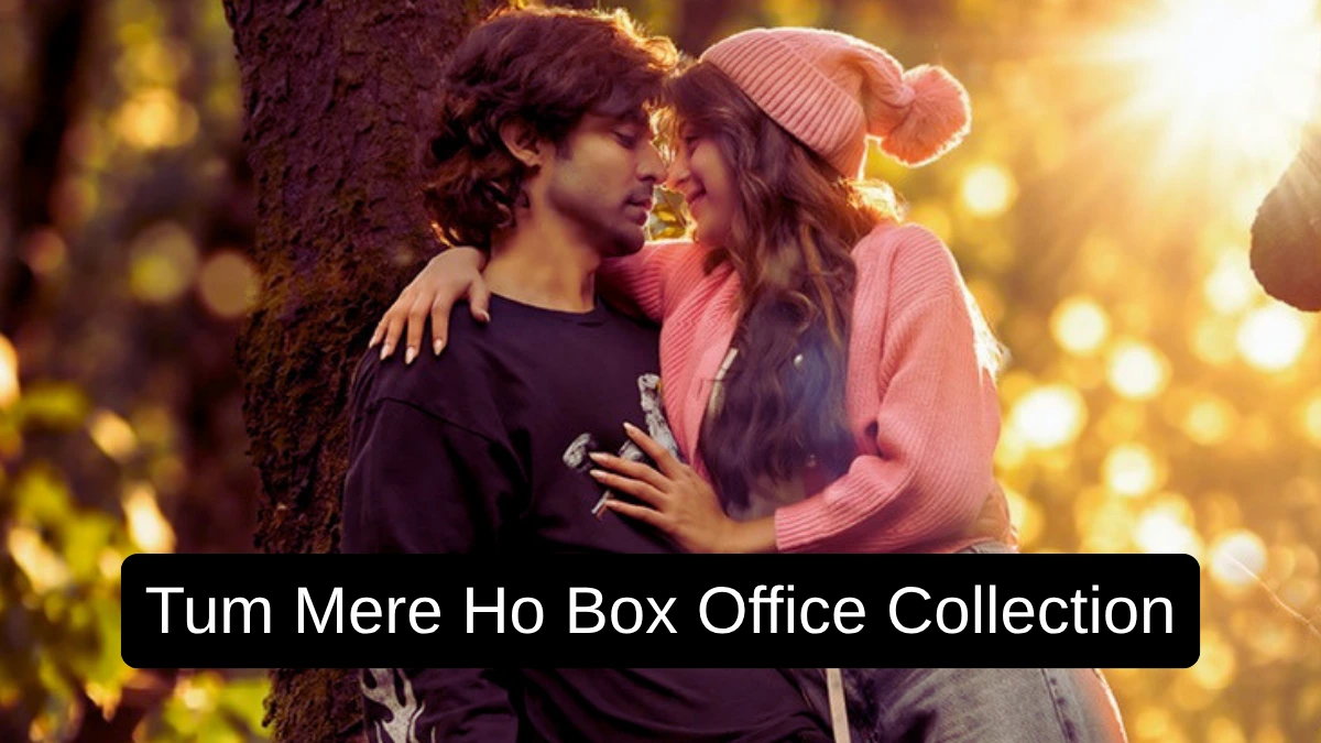 Tum Mere Ho Box Office Collection: जानिए बॉलीवुड मूवी तुम मेरे हो का बॉक्स ऑफिस पर कैसा रहा हाल, हिट या फ्लॉप